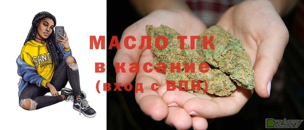 индика Аркадак