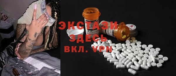 индика Аркадак