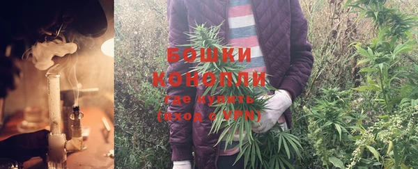 индика Аркадак