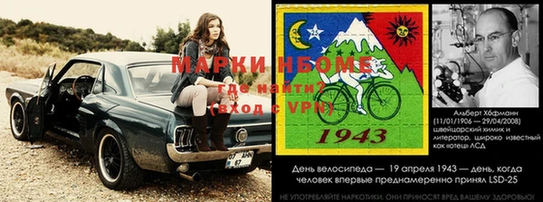 индика Аркадак