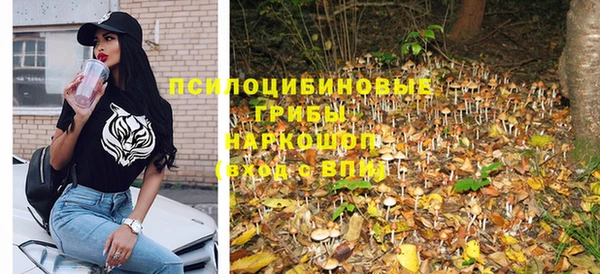молекула духа Армянск