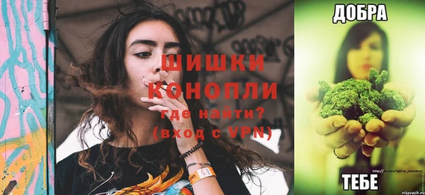индика Аркадак