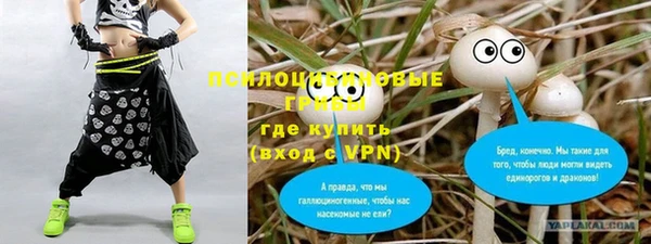 молекула духа Армянск