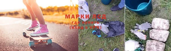 индика Аркадак