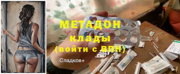 индика Аркадак