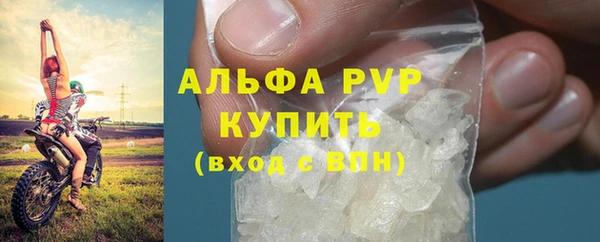 индика Аркадак