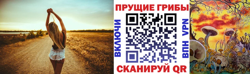 ссылка на мегу зеркало  Людиново  Псилоцибиновые грибы Magic Shrooms 