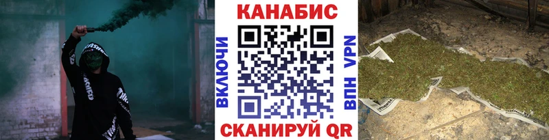 Каннабис OG Kush  Людиново 